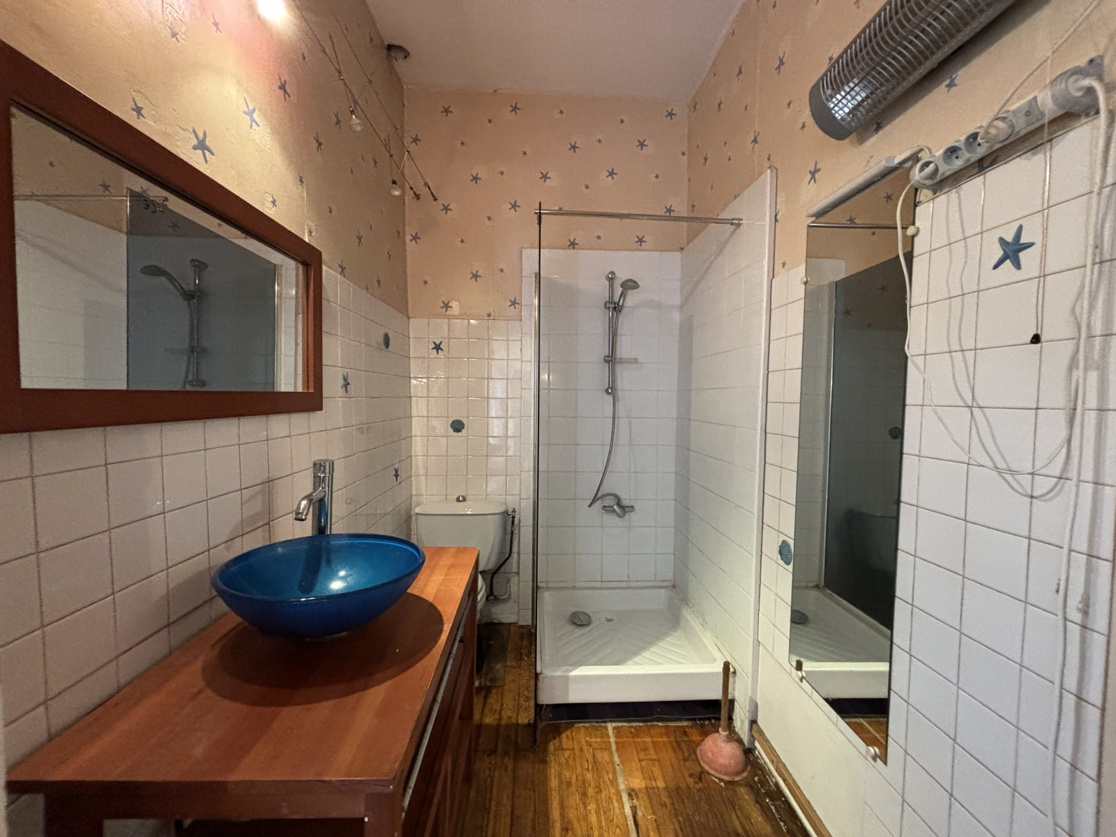 Image_11, Maison, Coublevie, ref :0153