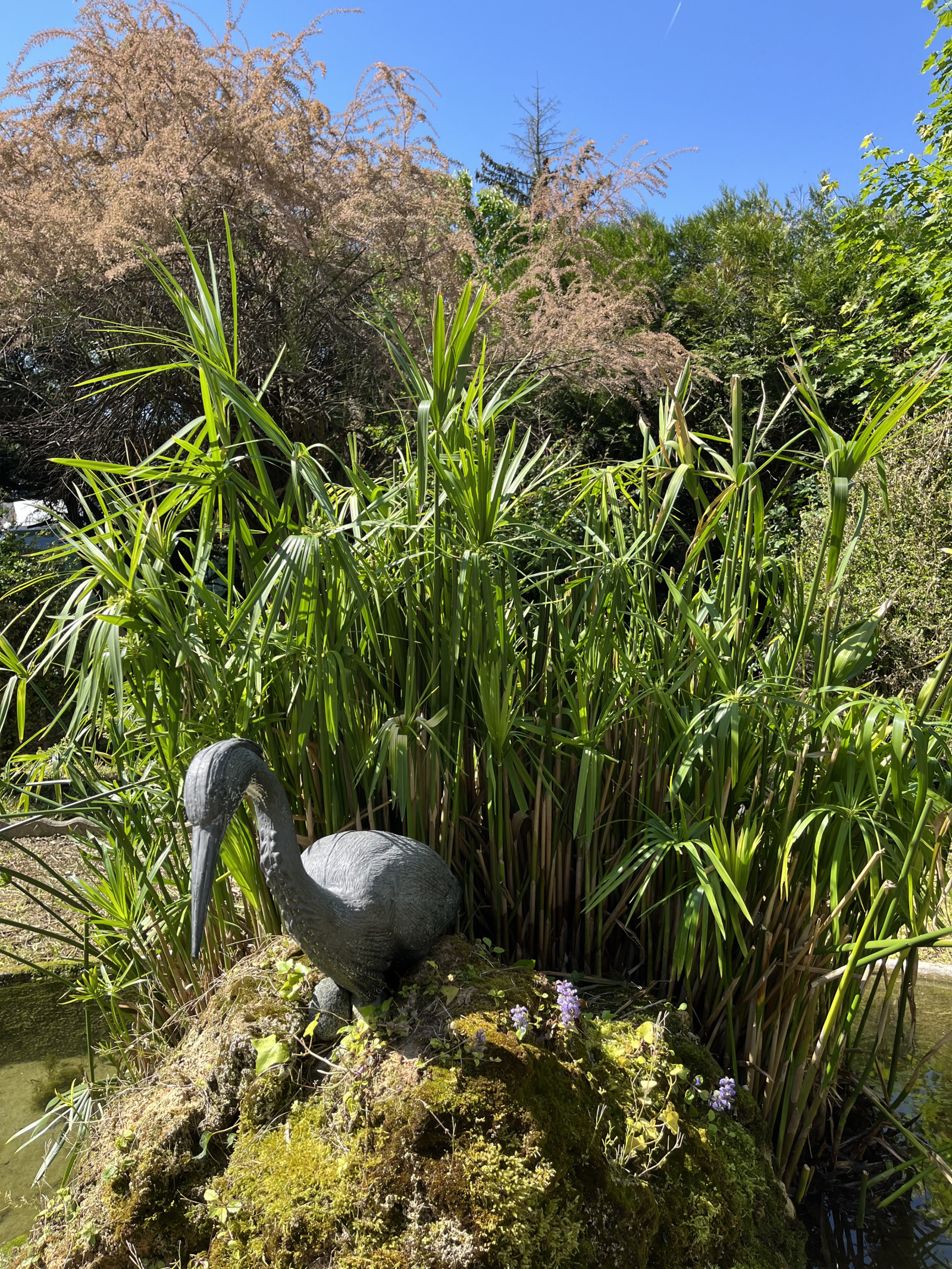 Image_9, Maison, Coublevie, ref :0153