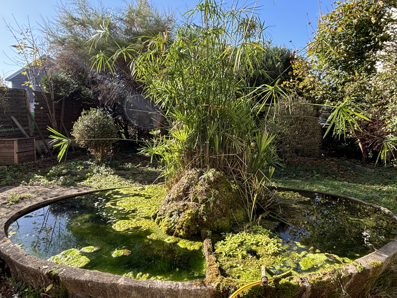 Image_4, Maison, Coublevie, ref :0153