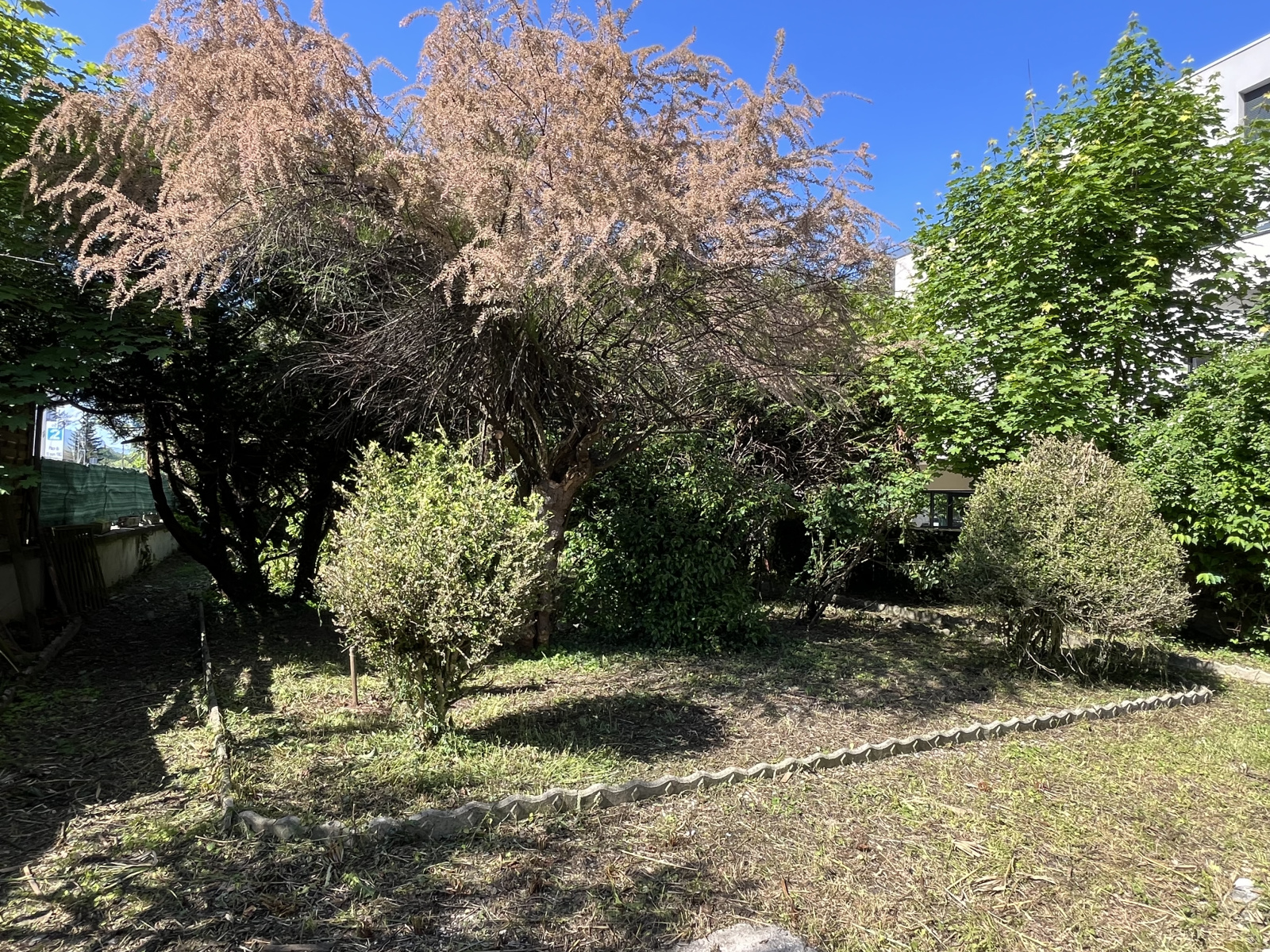 Image_6, Maison, Coublevie, ref :0153