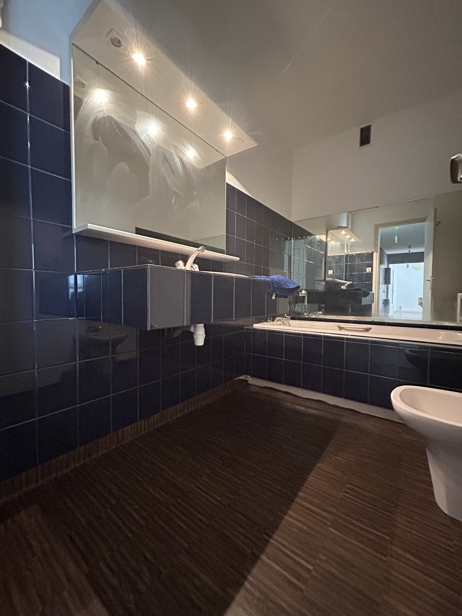 Image_5, Appartement, Grenoble, ref :0195