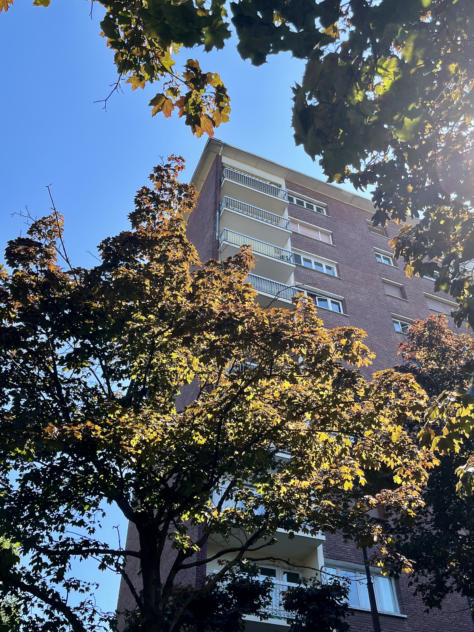 Image_11, Appartement, Paris, ref :0104