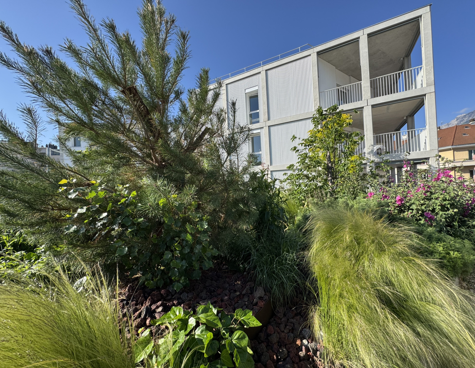 Image_1, Appartement, Grenoble, ref :0168