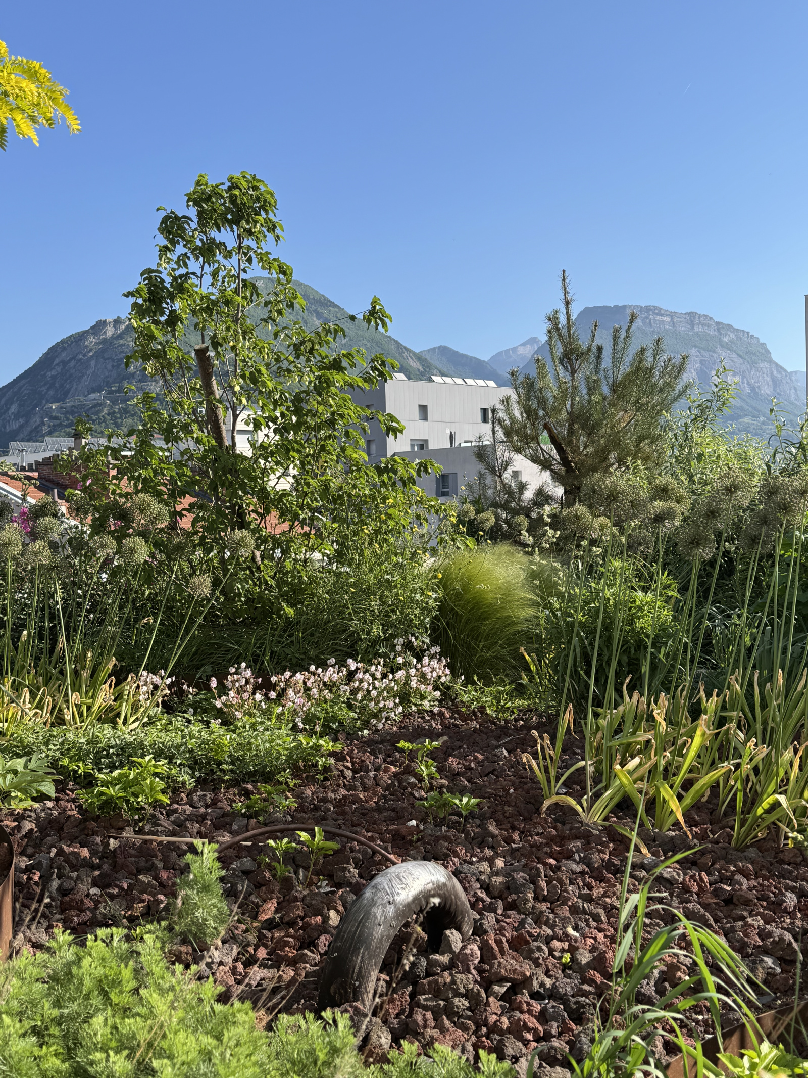 Image_16, Appartement, Grenoble, ref :0168