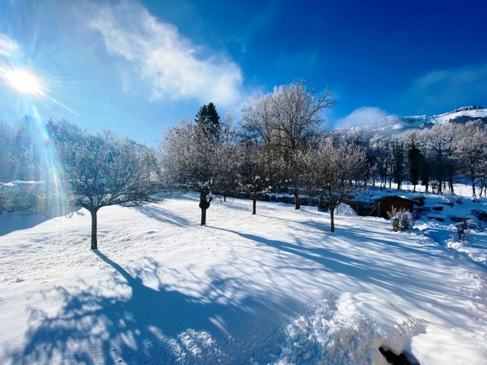 Image_1, Maison, Monestier-de-Clermont, ref :0060