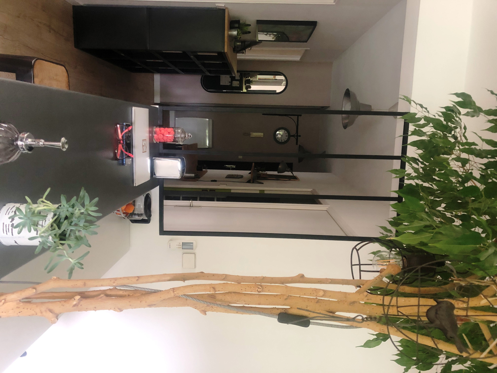 Image_6, Rez de jardin, Grenoble, ref :0021