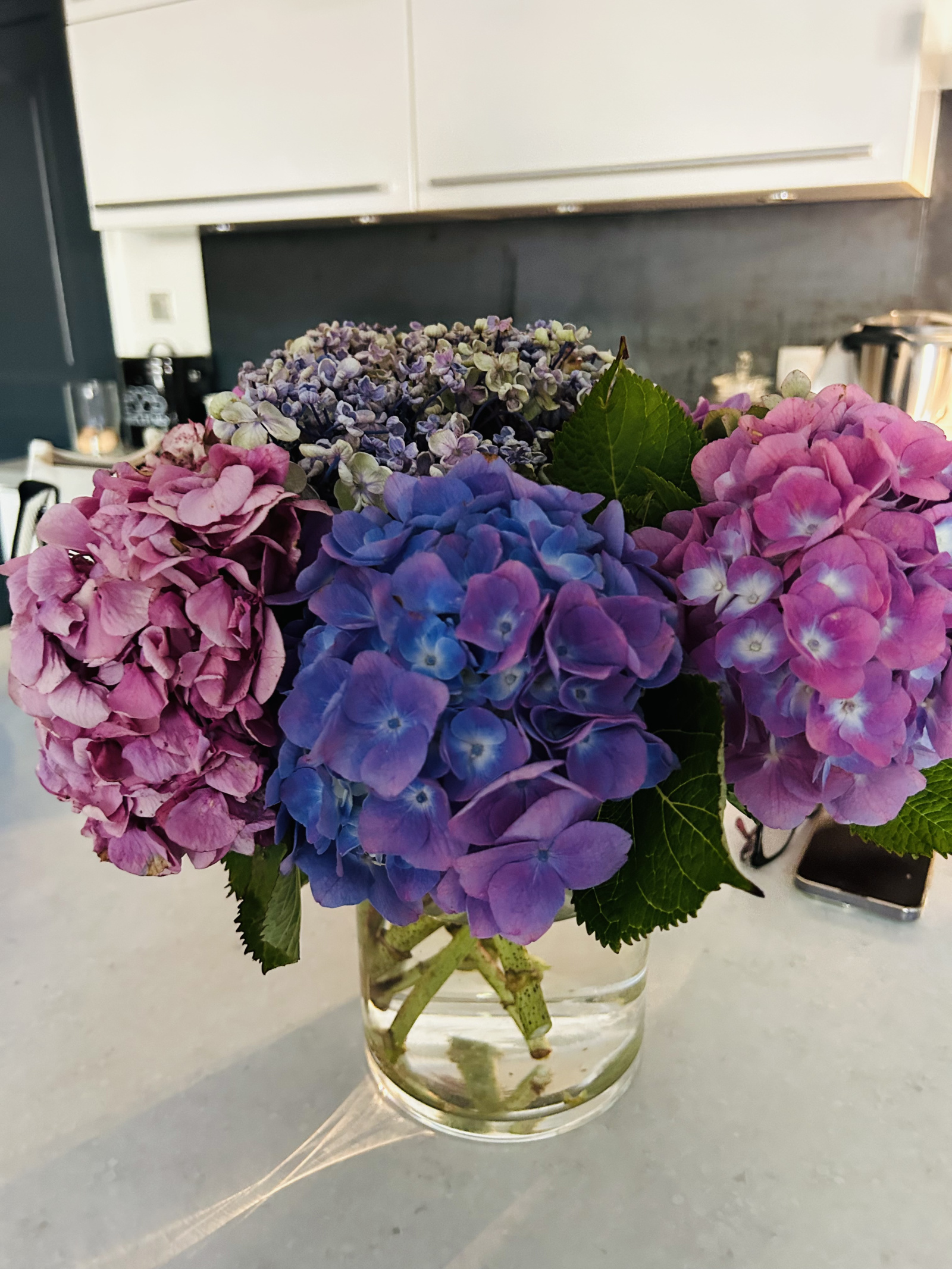 Image_10, Maison, Eybens, ref :0107