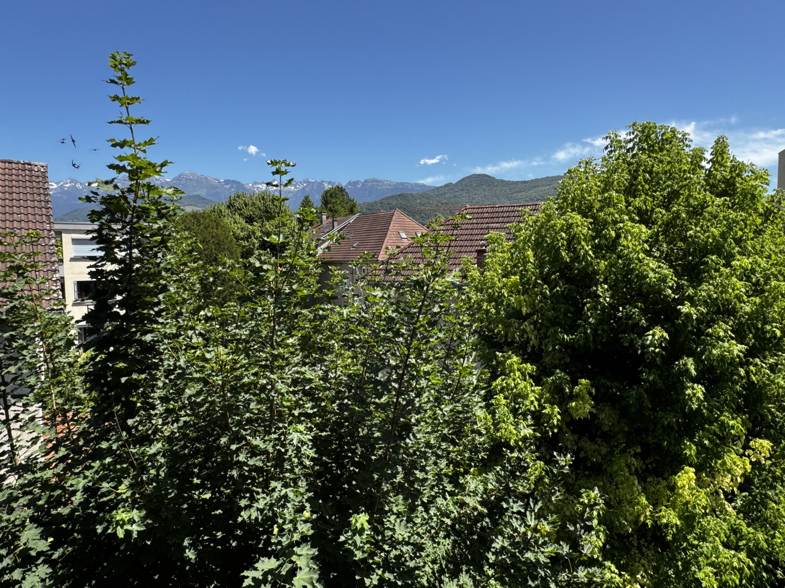 Image_8, Appartement, Saint-Martin-d'Hères, ref :0222