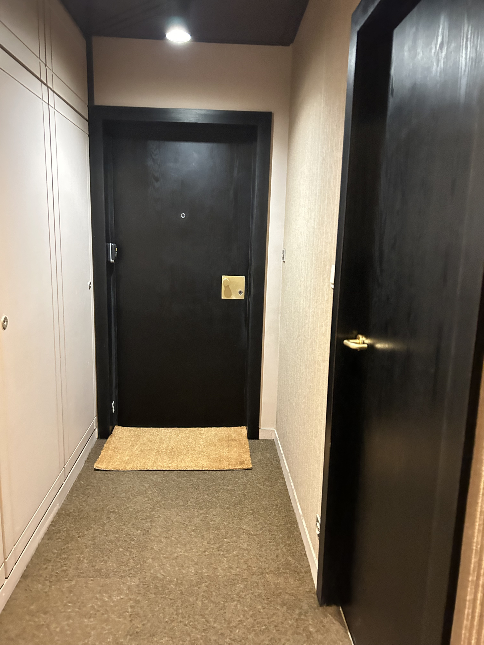 Image_16, Appartement, Grenoble, ref :0126