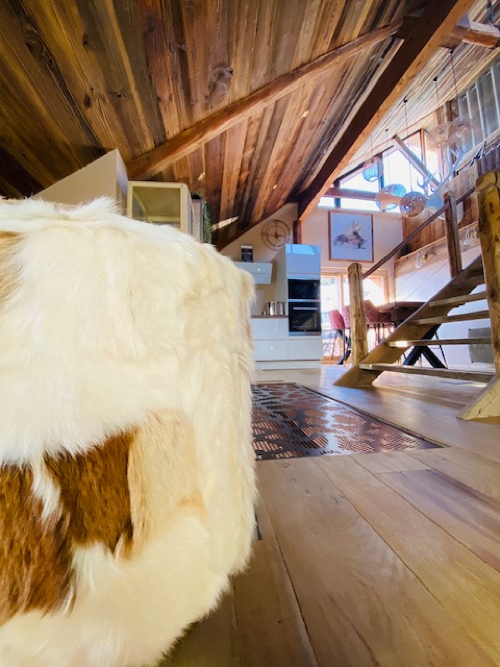 Image_11, Duplex, Huez, ref :0092