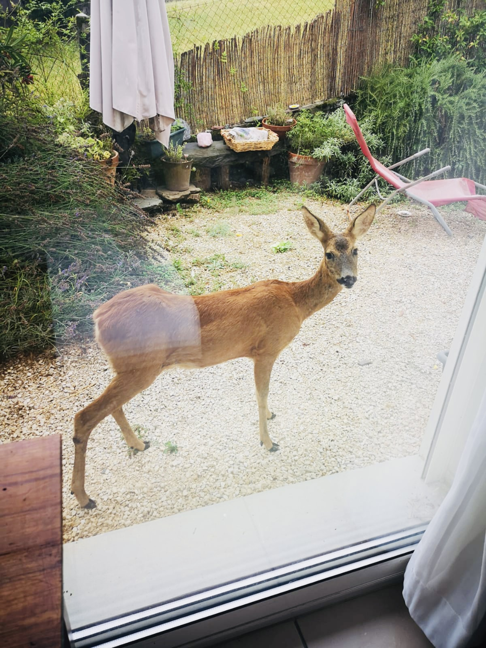 Image_9, Maison, Saint-Vincent-de-Mercuze, ref :0109