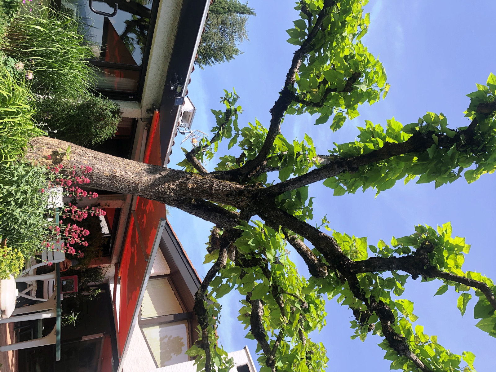 Image_12, Maison, Meylan, ref :0011