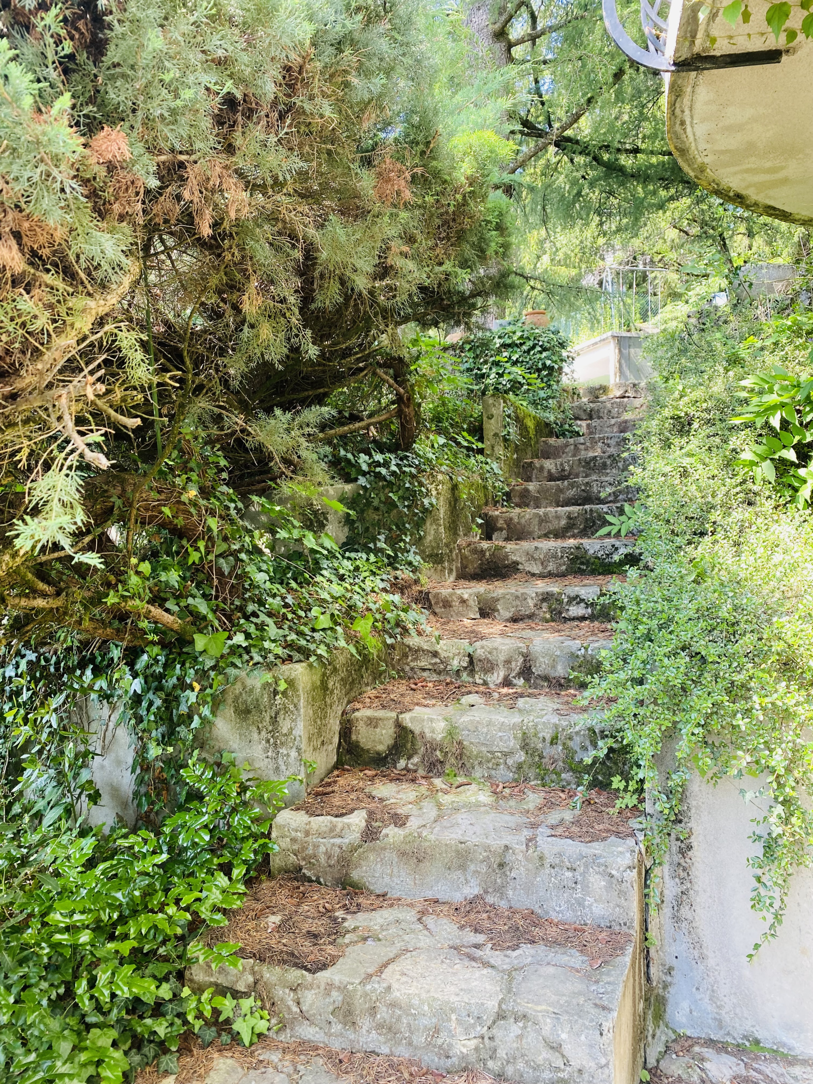 Image_21, Maison, La Tronche, ref :0101