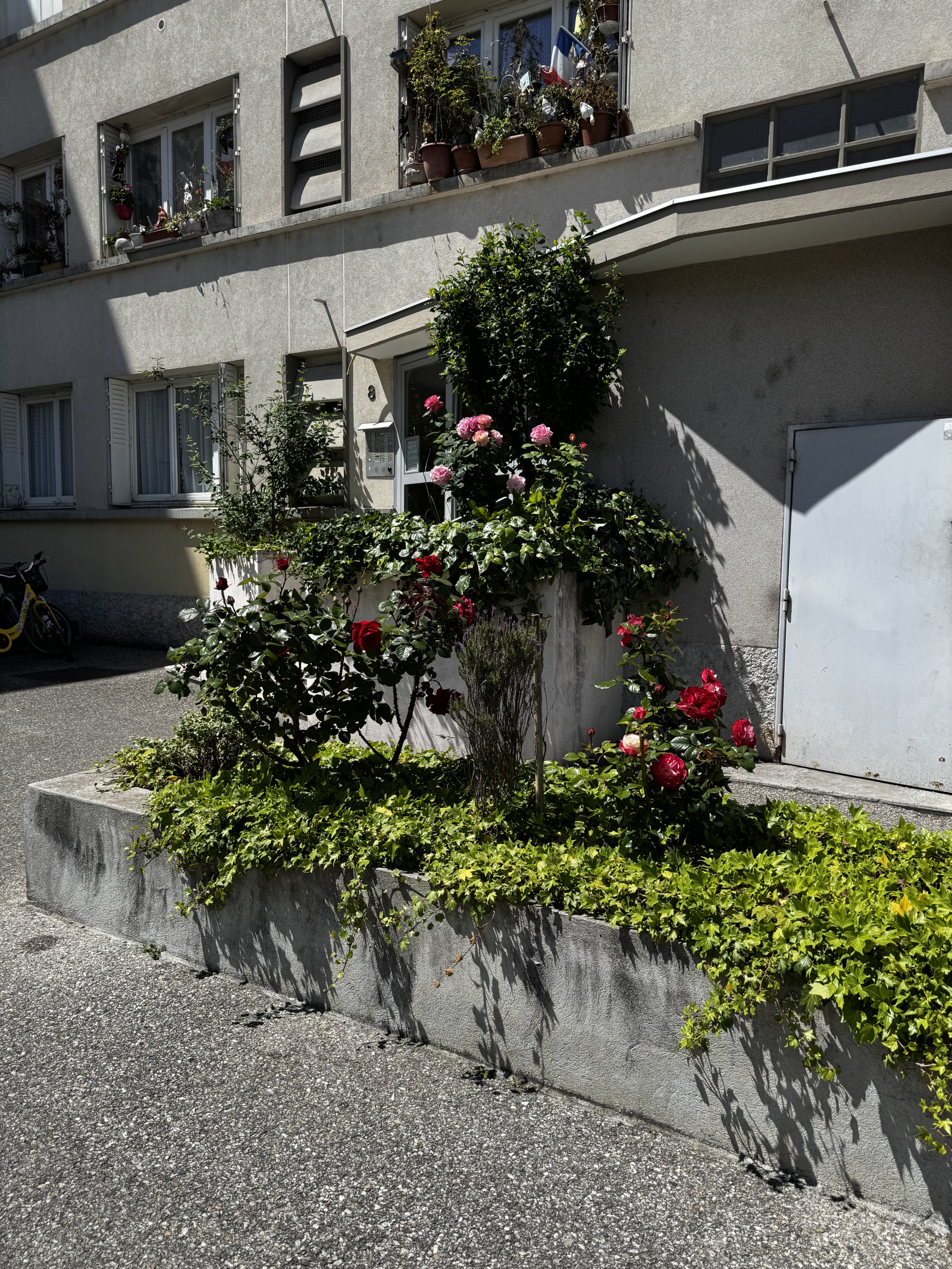 Image_12, Appartement, Grenoble, ref :0217